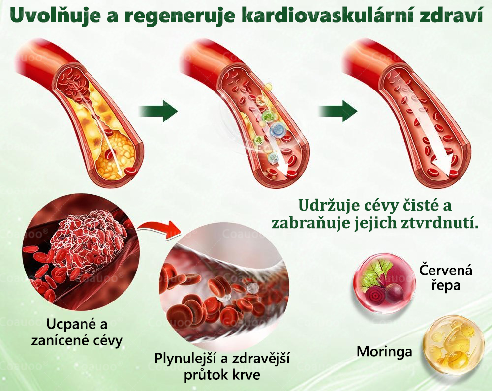 Oficiální prodejna  |  🧑‍⚕️𝐂𝐨𝐚𝐮𝐨𝐨® 𝐌𝐨𝐫𝐢𝐧𝐠𝐚 × 𝐁𝐞𝐫𝐛𝐞𝐫𝐲𝐧𝐚 × 𝐀𝐌𝐏𝐊 𝟏𝟎 v 1 – Zeštíhlující nano mikrojihlový náplast 🇨🇿 Jen 1× denně ✅ Viditelné změny za 7 dní – na obezitu, kardiovaskulární zdraví, diabetes a kloubní problémy